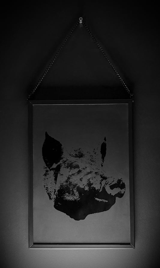 Pig Headed Print